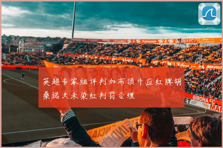 英超专家组评判加布顶牛应红牌胡桑诺夫未染红判罚合理